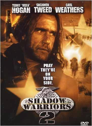 幻影战士2：追击末日山（国语版）,追击末日山——勇闯末世，拯救世界的生死之旅