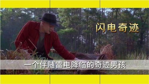 伴人而生,探索人类与自然和谐共生的奥秘